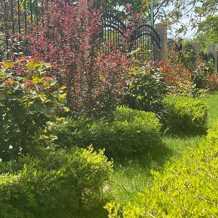 Apartmán Park *